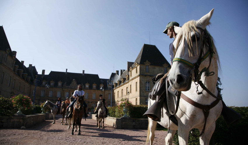 Château de Drée - Curbigny