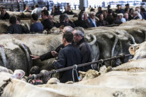 Animations autour du concours (...)