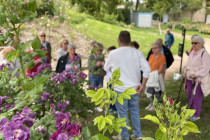 Visite du Jardin Saint Hugues