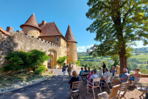 Apéro-conférence "les vins (...)