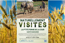 Naturellement visites : (...)