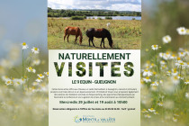 Naturellement visites : (...)