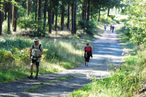 Marche "La Beauberichonne"