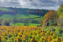 Marche des 7 Collines