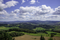 Marche des chèvres