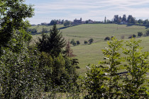 Marche d'Automne de (...)