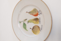 Atelier décor sur assiette (...)