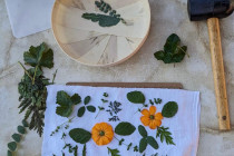 Atelier de teinture naturelle (...)