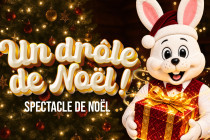 Spectacle familial de Noël - (...)