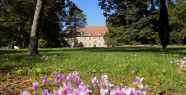 Parc des Ecuries du château de Chaumont en Charolais