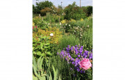 Conférence "L'eau au jardin"