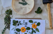 Atelier de teinture naturelle Tataki-zomé – jeudi 11 juin