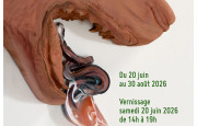 Exposition "Ramasser"