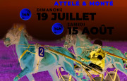 Courses hippiques