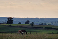 Domaine Sur-Valot