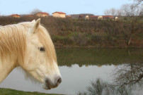 Le Moulin du Roy (hébergement)